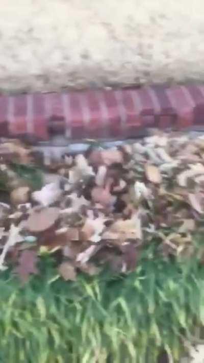 I'm not sure what purpose this tool serves