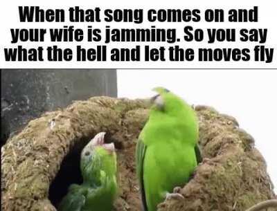 nothing quite like a dance off