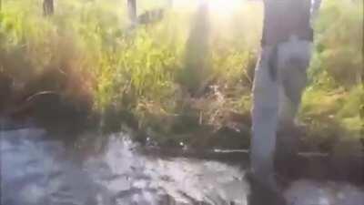 Almost shot his friend when aiming at the boar