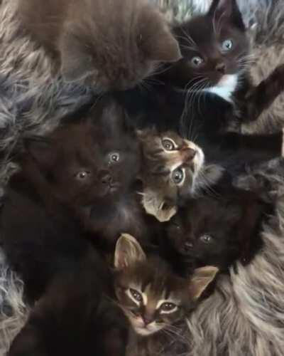 How different processes share space