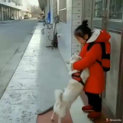 Dog is becoming very happy after seeing his master..