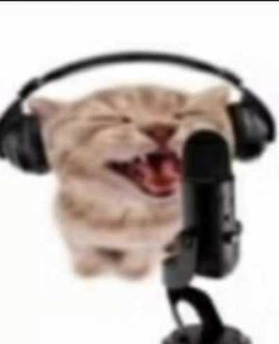 Holy shit, he has bars