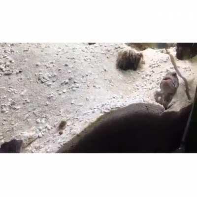 There is a war going on here