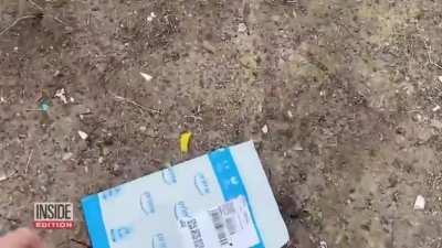 California em speedrun para se tornar uma Venezuela: Cargas de trem são roubadas em Los Angeles após governo esquerdista aprovar lei que impede prisões a roubos de valores menores que US$ 900