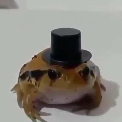 Tis Wednesday my fellows