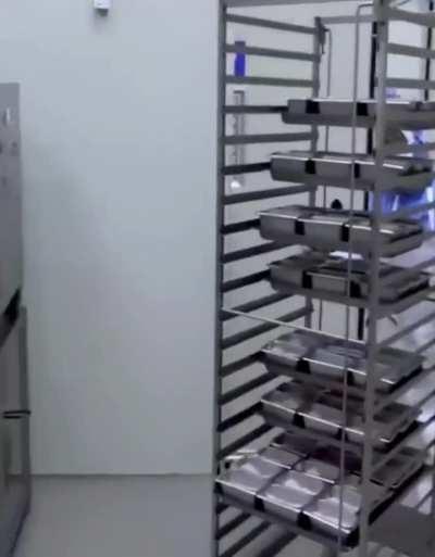 Welp there goes my appetite