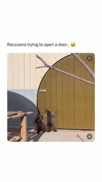 The little jumps😂