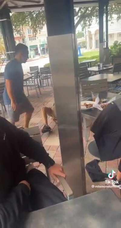 A larger dog grabs a puppy off of a woman's lap while she is eating lunch.