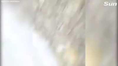 Idiot protestor attacks dude and is served justice by getting shot by the dude