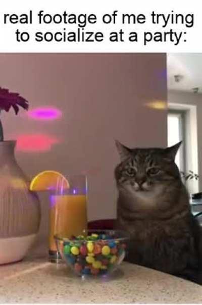 i just get dragged to parties