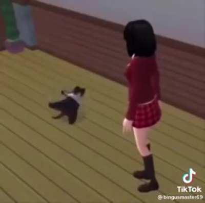 doodoofard - Video #4278