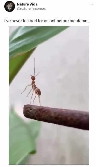 Me growing up with two younger sibs