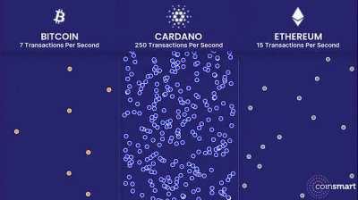 Cardano is just built differently.