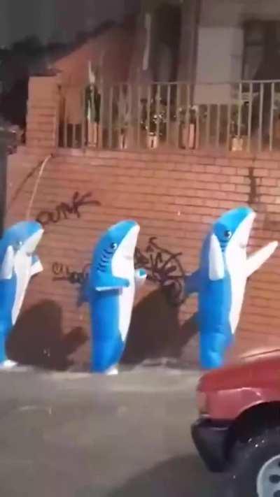 Remember to shut the door when there's a flood or your Blåhaj may be lost