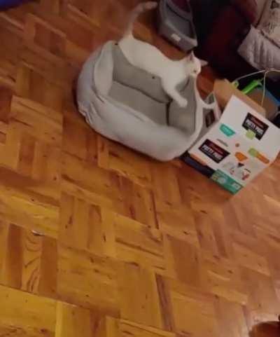 Xpost from r/ThereWasAnAttempt. Thought this belonged here.