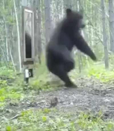 Bears tomorrow when JPow hikes rates by 50 bps