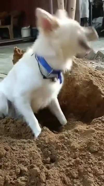 С добрым рабодельником!