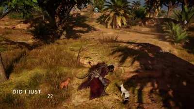 [AC: Origins] I've No Idea Where Else to Post This but I Got Really Excited 20 min Ago When I Discovered... Passive Petting Physics :)