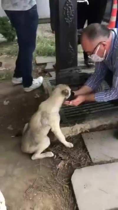 This guy just handed a drink of water for this pupper . This is called 