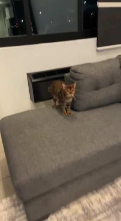 Industrial loft update: Furniture in, just missing some plants and artwork. Any recommendations on other things I should add?