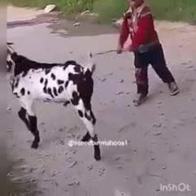 He got what he deserved