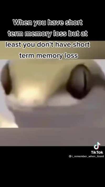 When you have Short Term Memory loss but remember you don't