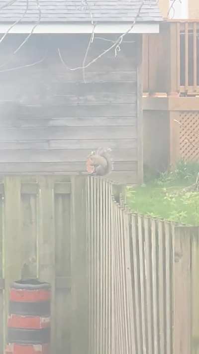 Enjoying an afternoon slice