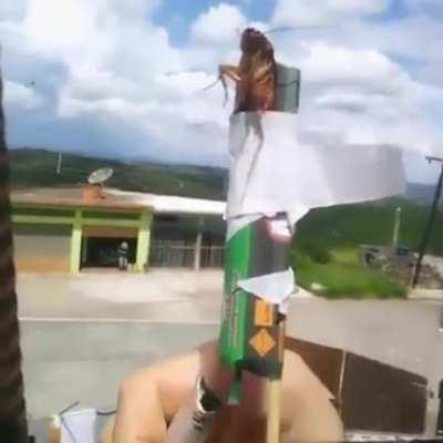 Nunca más entra en la casa de Vladímir