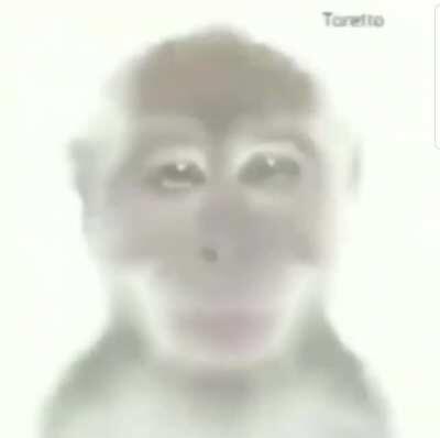 Komik türk video||4k||360p İndir