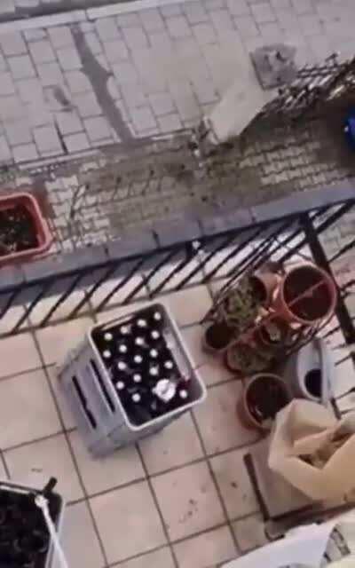 Just a little faster and boom thicc chick appears