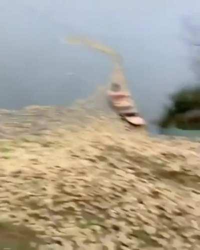 🔥 Invasion of the Ducklings.