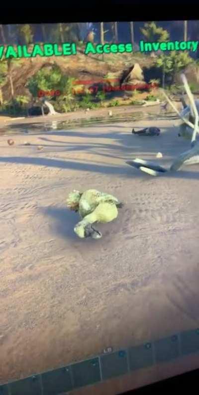 sorry for the bad quality, i recorded this on my phone