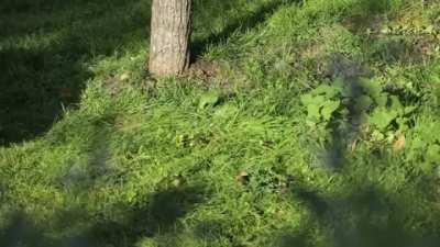 Just some cuteness from France!