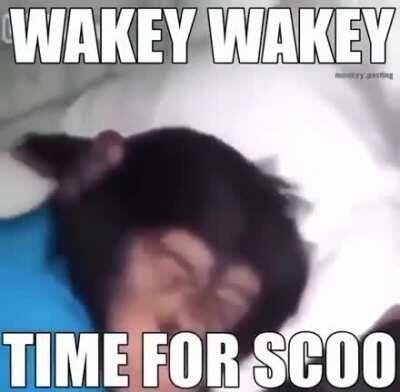 Wakey Wakey eggs and baked beans