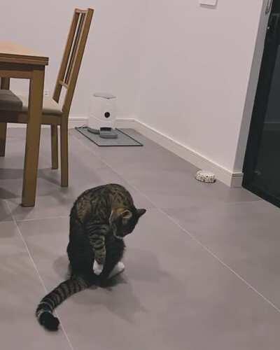 What? What? You gonna fight me??