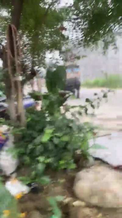 Rohit Sharma 264 Vs Sri Lanka