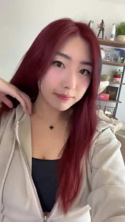 xchocobars