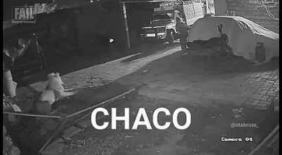 un día normal en...