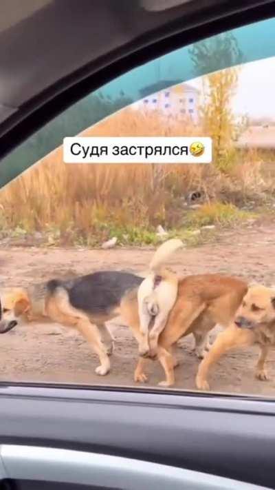 I'm trying to figure out who is the third wheel