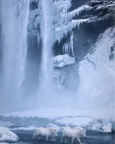 🔥 Straight out of movie scene 