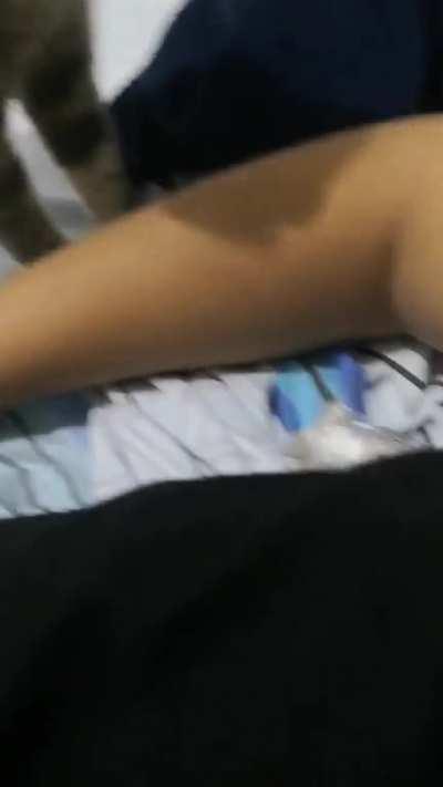 Les dejo un video jugando con mi gato para alegrar el sabado