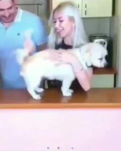 Unexpected poopy finger