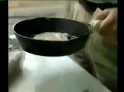 hell yeah me and aigis body pillow gonna smoke dank kush and ingest opioids i love drugs now!!!😎😎😎💊🚬