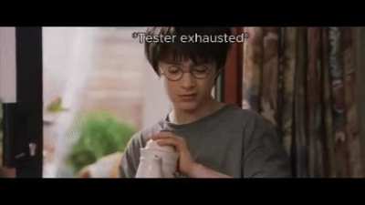 managementWantsToMakeProjectDeliveryMoreEfficient