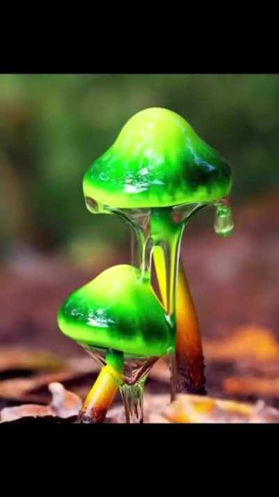 The eyes of the network truly are a wonder to behold