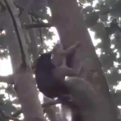 Top 10 Anime Plottwists