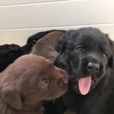 Hey hey nothing to see here just chilling with my Bros 💞💞😉😉😉