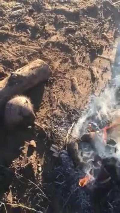 Peludo congelado calentándose con un fogata en la línea sur rionegrina luego de una machaza helada.