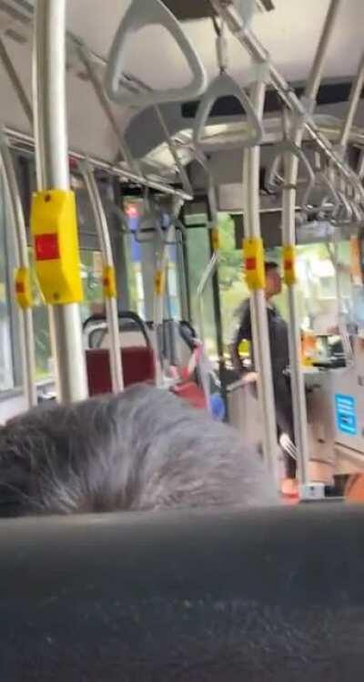 On the bus and this lady gets on but then is asked to get off politely because wearing a mask on public transport is mandatory