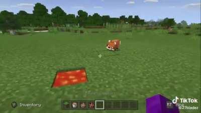 Not mine just found it funny